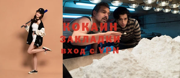 дмт Каменногорск