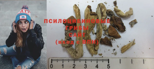 дживик Инсар