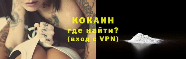 дживик Инсар