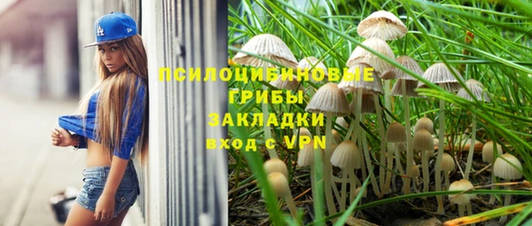 дживик Инсар