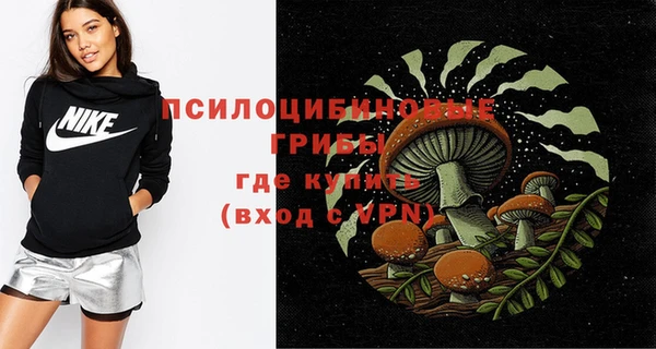 дживик Инсар
