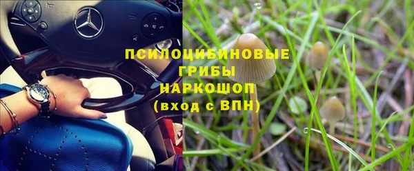 бутират Инта