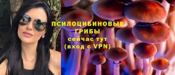 дживик Инсар