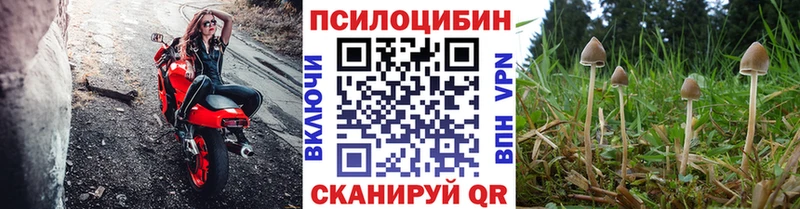 Галлюциногенные грибы мицелий  Купить закладки  Бийск 
